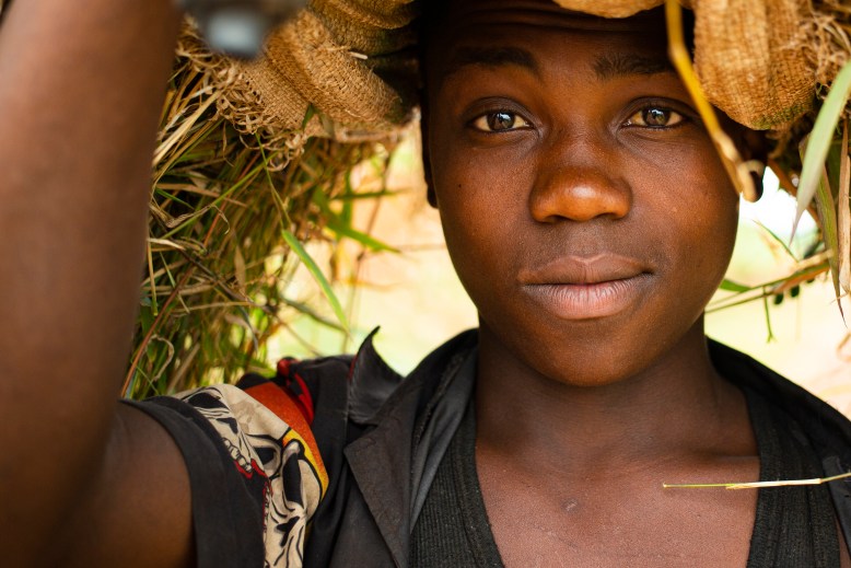 Доступ і доступність