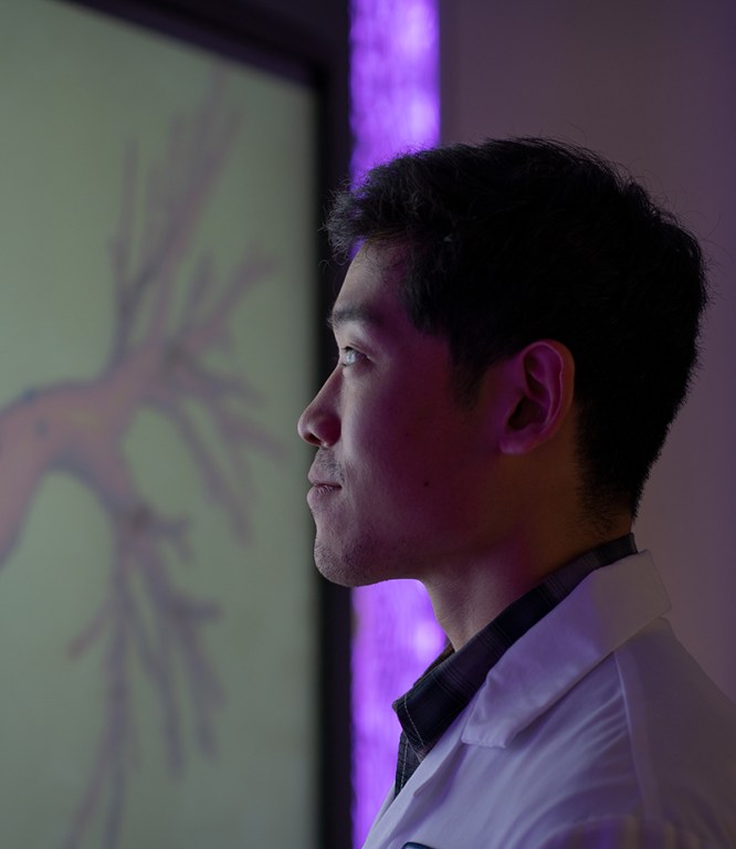 Image for Серцево-судинні захворювання лідер смертності в Україні